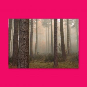 Autumn's Dawn - Landscape Lustre Art Print