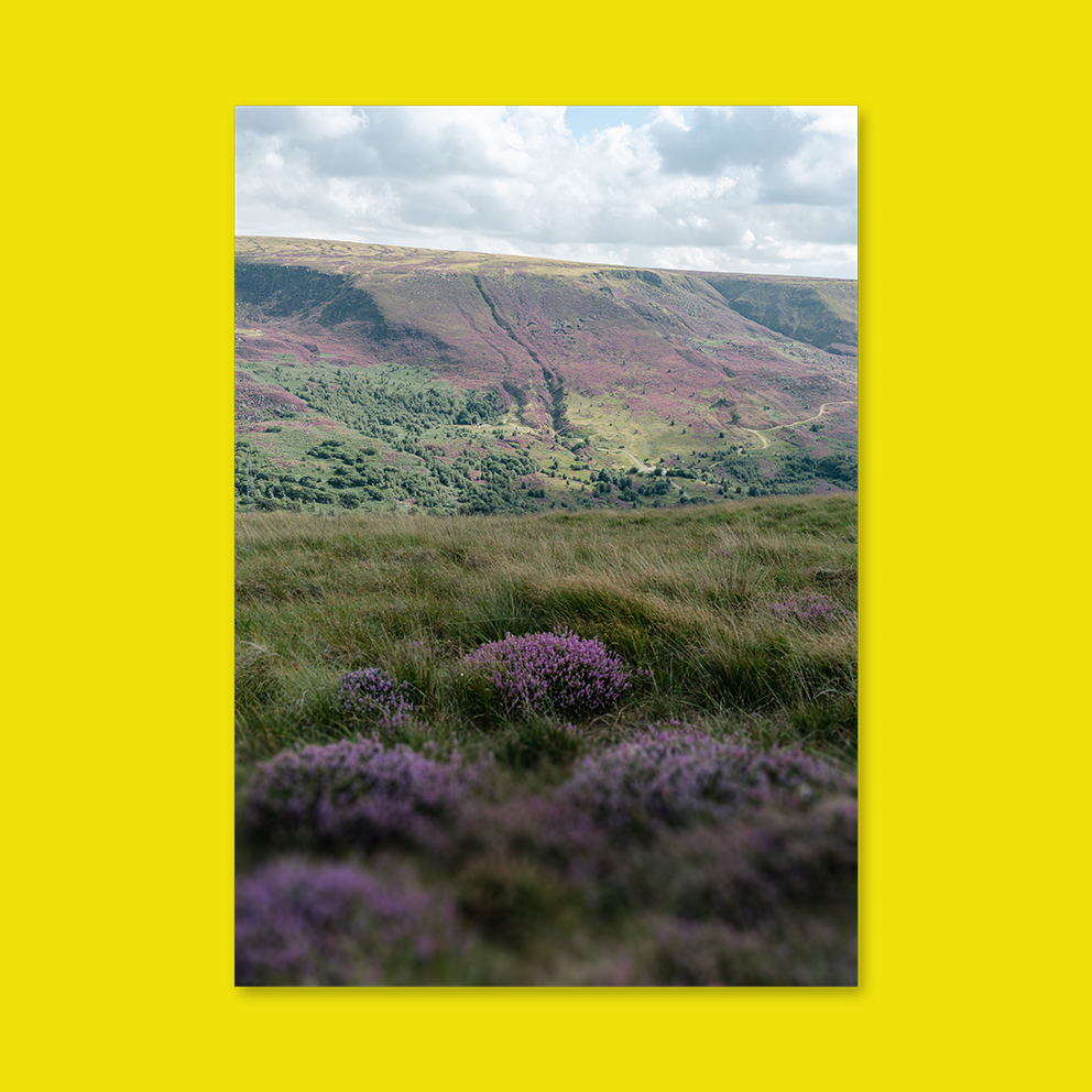 Longdendale Heather - Portrait - Portrait Lustre Art Print